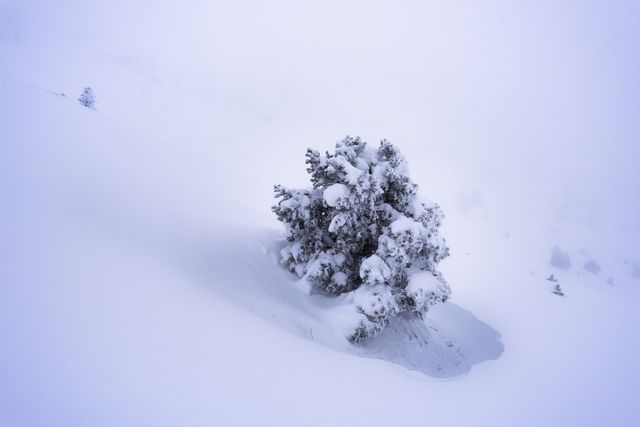 Ambiance glacée